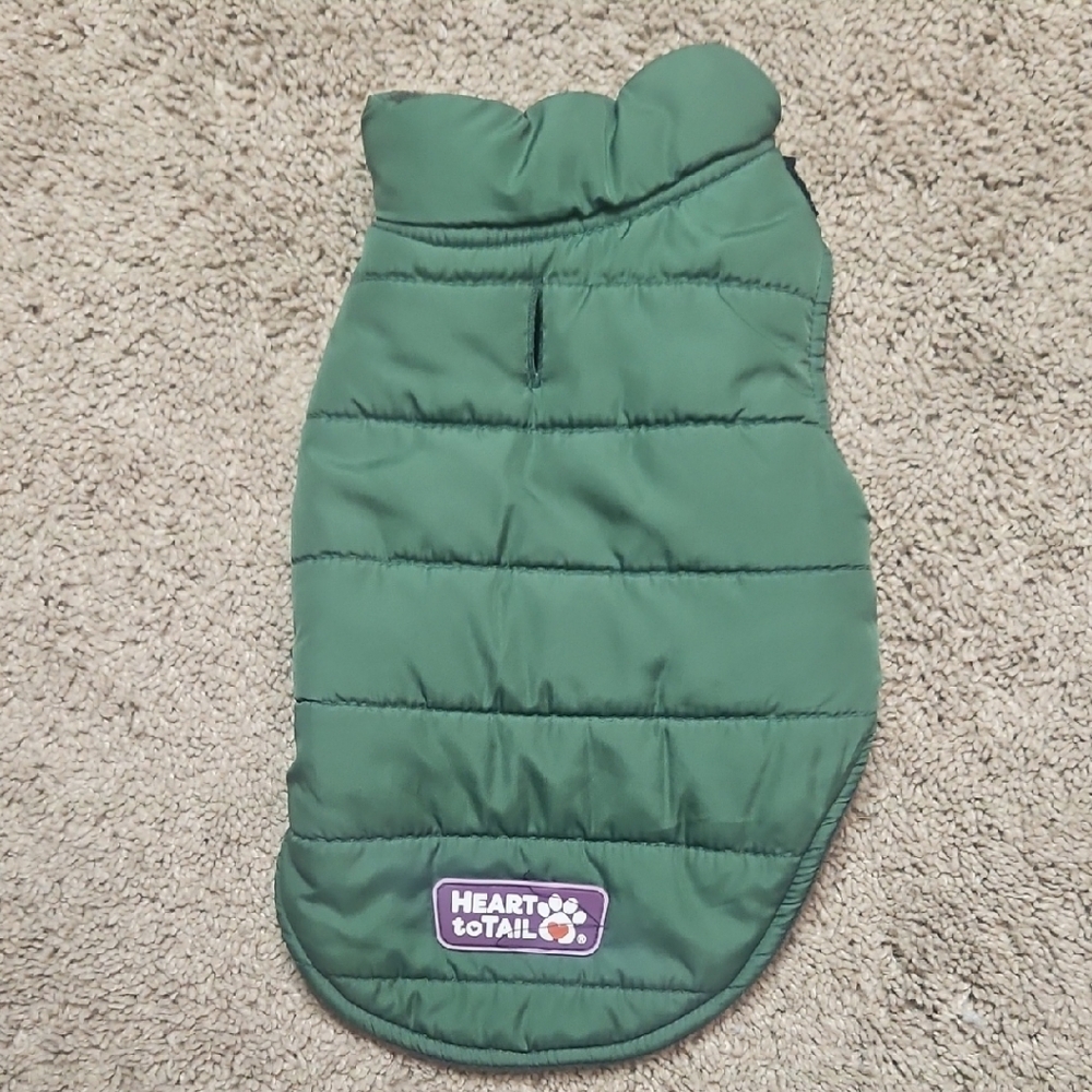 Green Dog Jacket